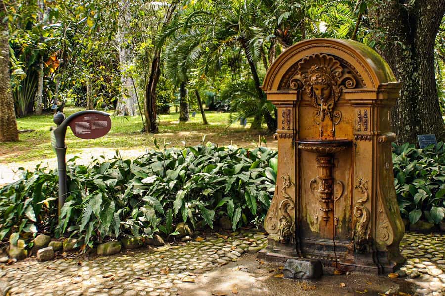 Jeep'n'Green: Rio Botanical Garden & Tijuca Rainforest Tour - Starting beneath Corcovado at the Botanical Garden