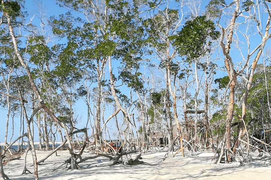 Jericoacoara: Tatajuba Beach Tour - Lago Grande and the best relaxation of the day