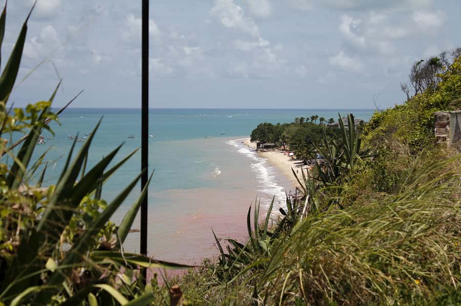 Joao Pessoa City Tour - Squares, Gardens, And The City’s Green Side