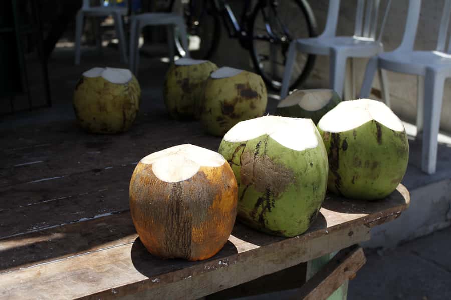 Joao Pessoa City Tour - The Paraíba Craft Market: Useful Stop Or Too Much Shopping?