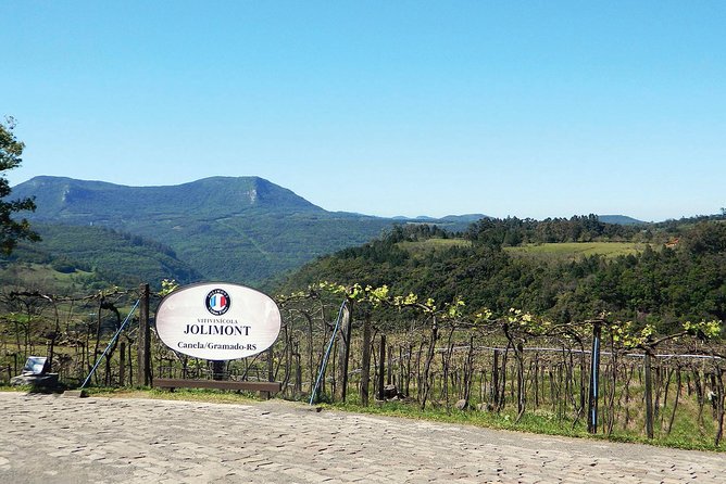 Jolimont Winery Tour - Visitation and Tasting - Canela RS - Is $23.45 Good Value?