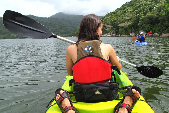 Kayak Water Trail in Red River Park by Adrenailha - Key points to know before booking