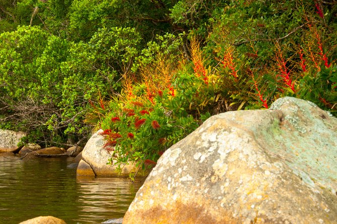 Kayak Water Trail in Red River Park by Adrenailha - Costa da Lagoa and traditional communities