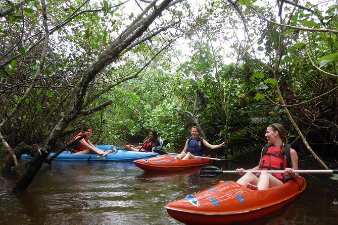 Kayaking Mangroves tour ( Natural Reserve ) - Morning timing and weather concerns