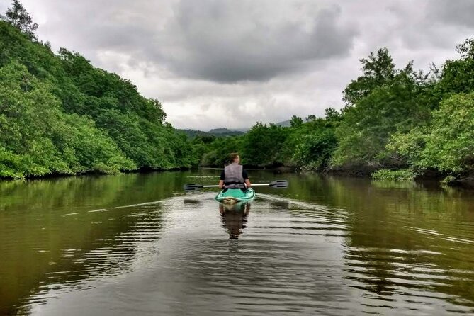 Kayaking to the mangroves - Key points to know before booking