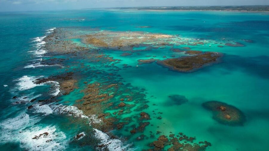 Maceio: Tour to Maragogi Beach - Snorkeling in the reef pools