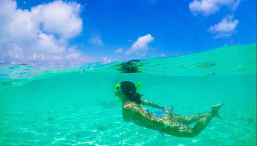 Maceio: Tour to Maragogi Beach - Who should book this Maragogi outing?