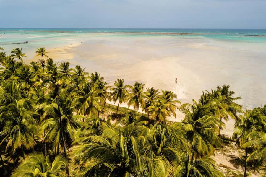 Maceio: Tour to Maragogi Beach - Leaving Maceió for the coast