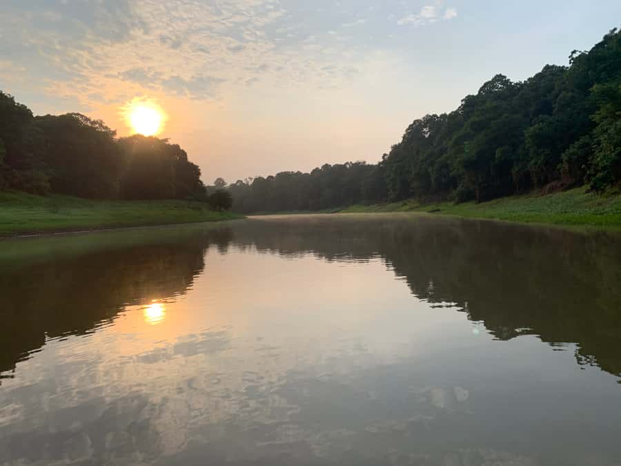 Manaus: 2-Day River Tour With Overnight Stay - Canoeing, piranha fishing, and the forest after sunset