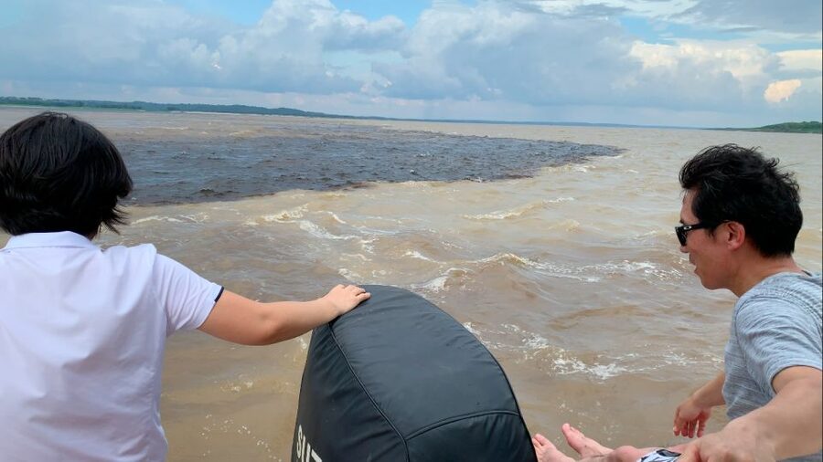 Manaus: 2-Day River Tour With Overnight Stay - January Lake, Catalão, and the Pirarucu fish farm
