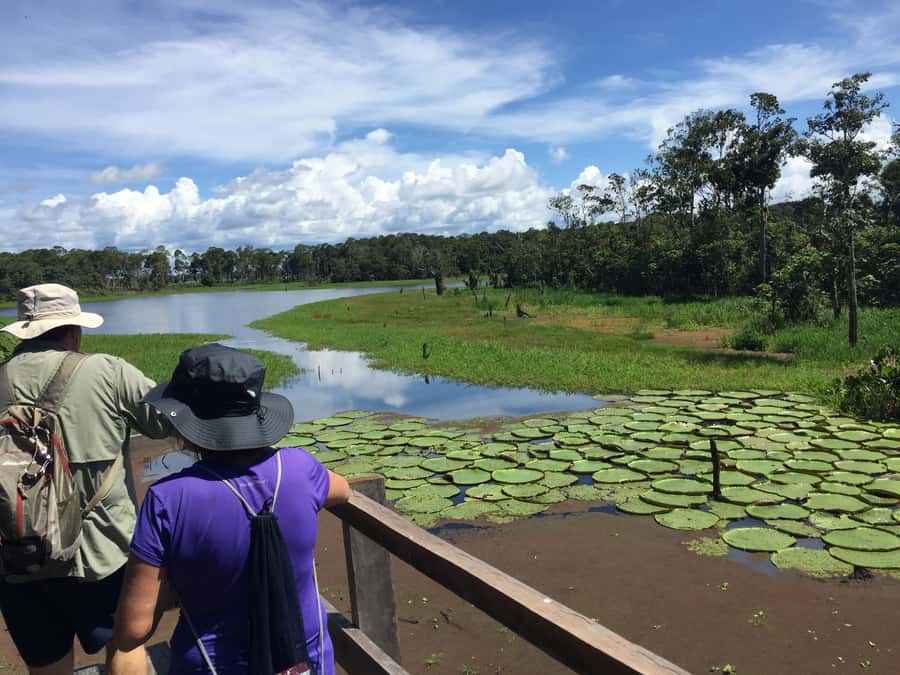 Manaus: 2-Day River Tour With Overnight Stay - The Meeting of the Waters near Manaus