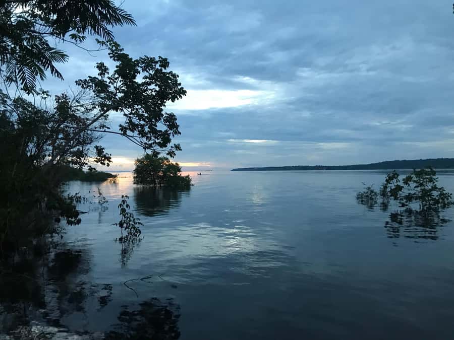Manaus: 2-Day River Tour With Overnight Stay - Day one: from Manaus into the forest