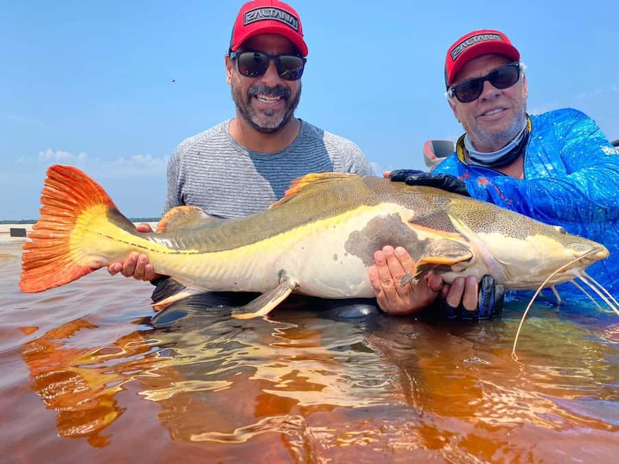 Manaus : A day of fishing on the Rio Negro - A full Amazon day from Manaus