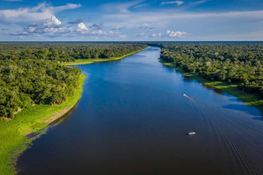 Manaus : A day of fishing on the Rio Negro - Who will enjoy this Rio Negro outing