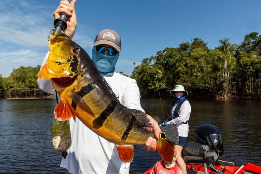 Manaus : A day of fishing on the Rio Negro - Practical advice before booking