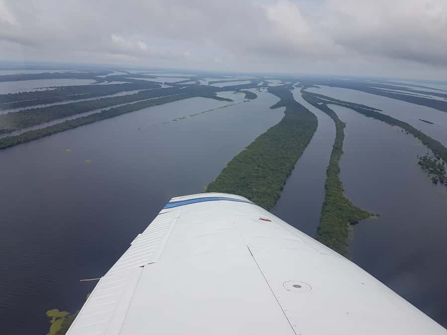 Manaus: Amazon Rainforest Panoramic Airplane Flight - Key points to know before booking