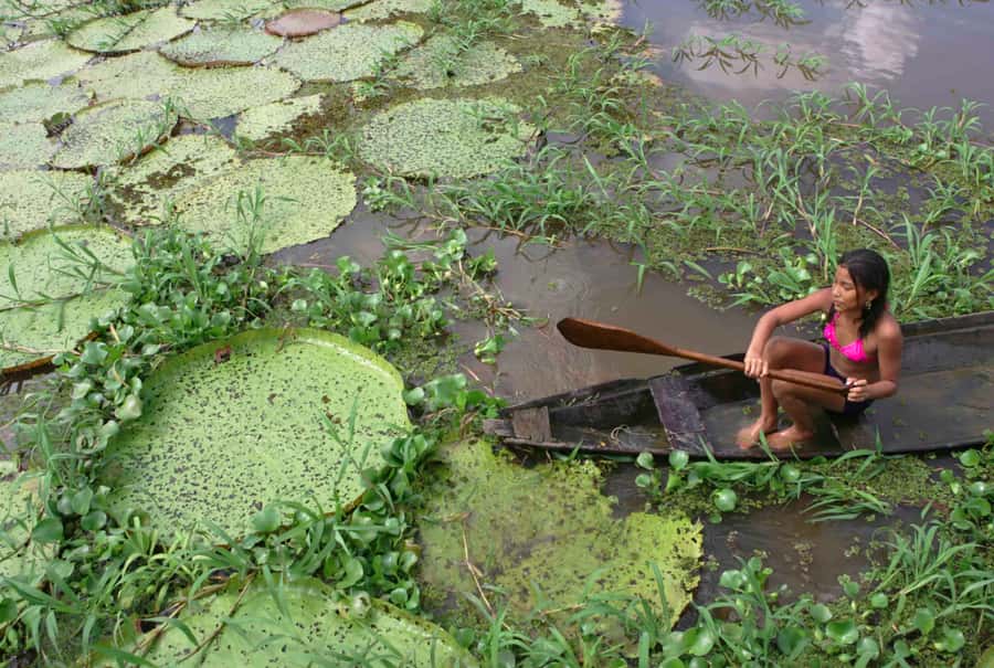 Manaus: Full-Day Tour on the Amazon River - Meeting Dessanos and Tucanos communities