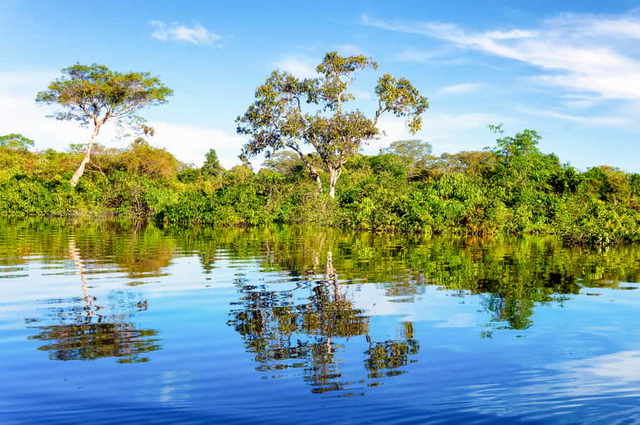 Manaus: Full-Day Tour on the Amazon River - Hotel pickup makes a busy day easier
