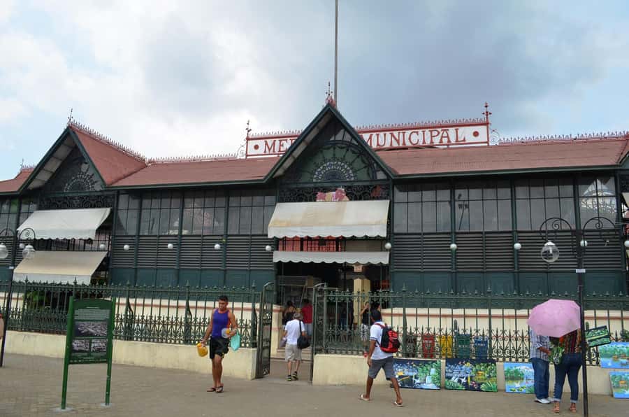 Manaus: Half-Day City Tour - Guide quality makes the difference