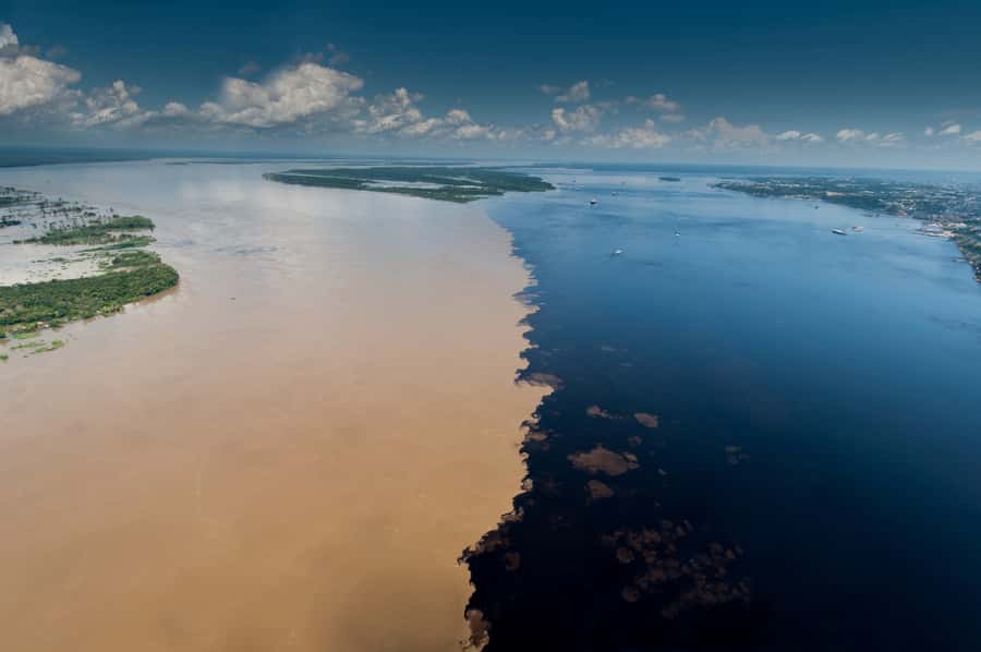 Manaus: Meeting of the Waters & Pink Dolphin Tour with Lunch - Key points to know before you book