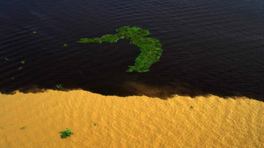 Manaus: Meeting of the Waters & Pink Dolphin Tour with Lunch - Meeting the Dessanos and Tucanos community
