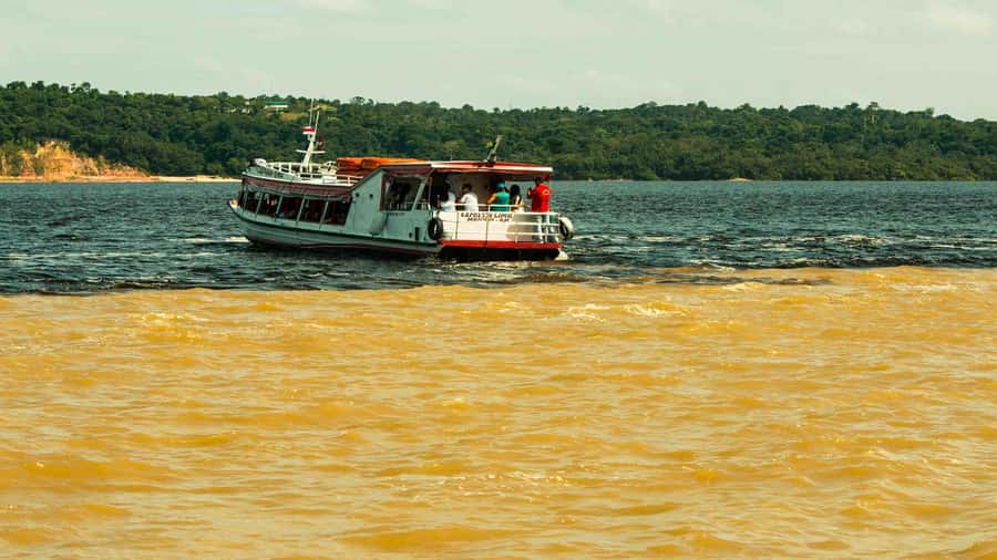 Manaus: Meeting of the Waters & Pink Dolphin Tour with Lunch - Language, group size, and the guide