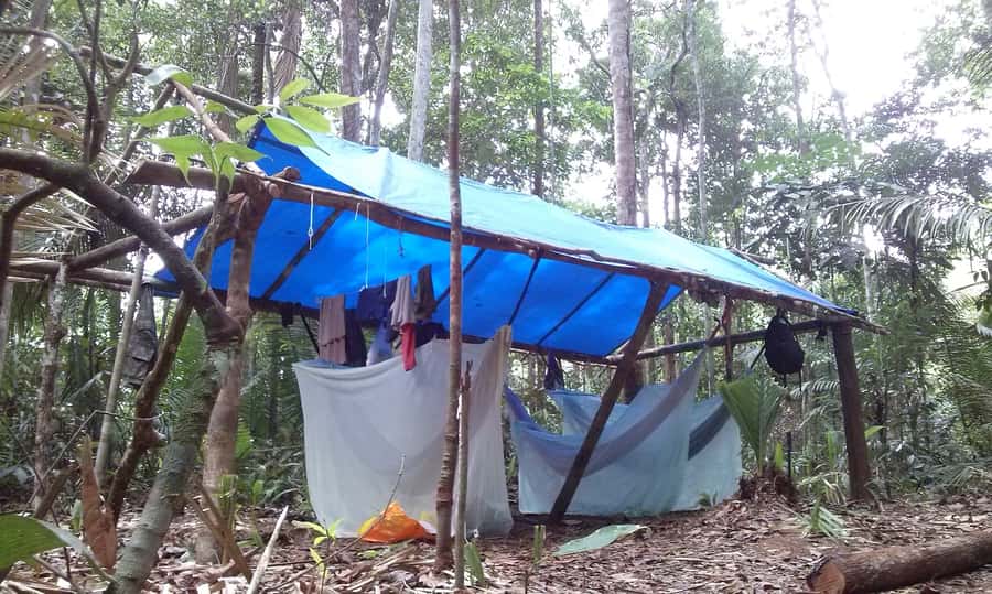 Manaus: Multi-Day Amazon Survival Trip with Camping - From Manaus to Catalao by speedboat