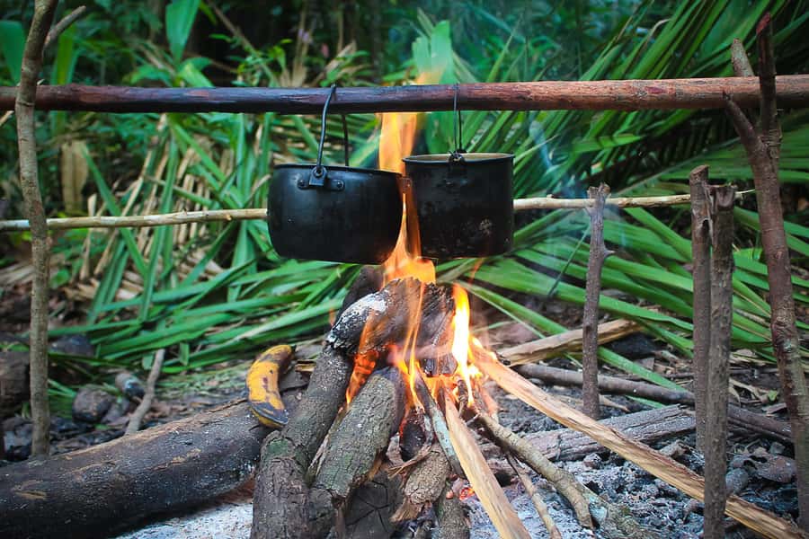 Manaus: Multi-Day Amazon Survival Trip with Camping - Jungle hiking from 8 a.m. to 11:30 a.m.