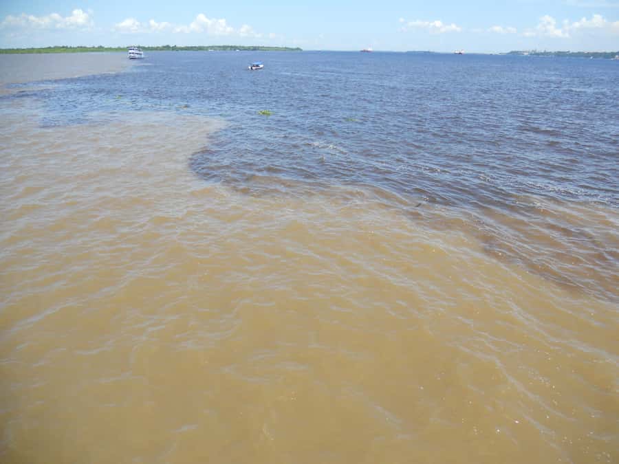 Manaus: Multi-Day Amazon Trip at Tapiri Floating Lodge - Sunrise at 5:30 AM and a jungle lesson