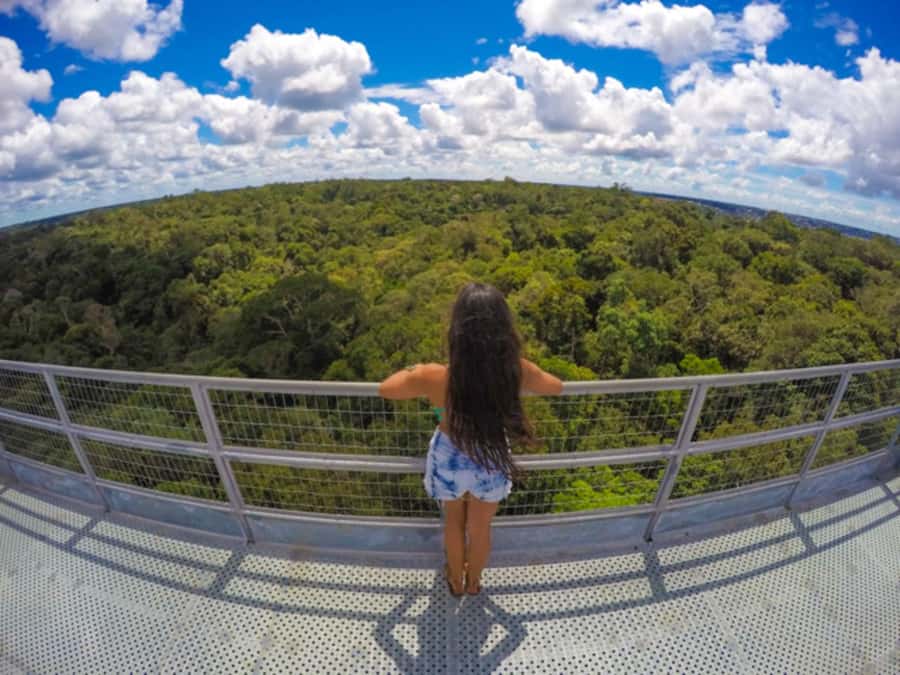 Manaus: MUSA and INPA Museums with Observation Tower Tour - The 42-meter tower and the view above the trees