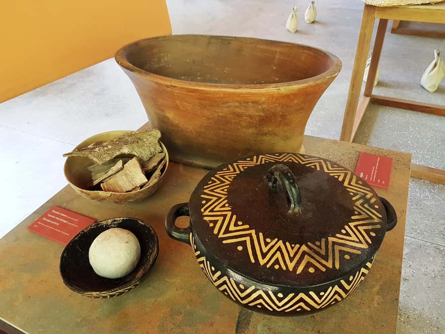 Manaus: MUSA and INPA Museums with Observation Tower Tour - The guide can make or break the experience