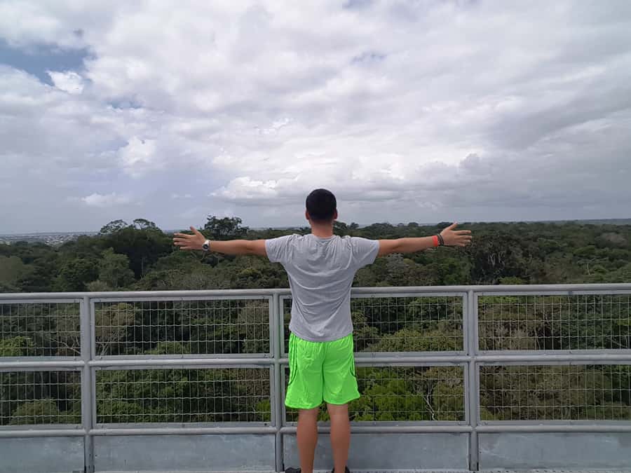 Manaus: MUSA and INPA Museums with Observation Tower Tour - Transport, timing, and the real value of $50