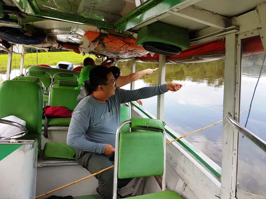 Manaus: Piranha Fishing and Alligator Watch Evening Tour - Key points to know before you go