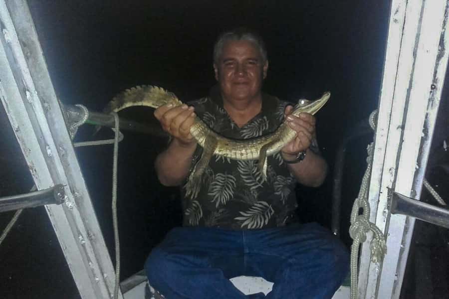 Manaus: Piranha Fishing and Alligator Watch Evening Tour - Small groups, hotel pickup, and the $90 price