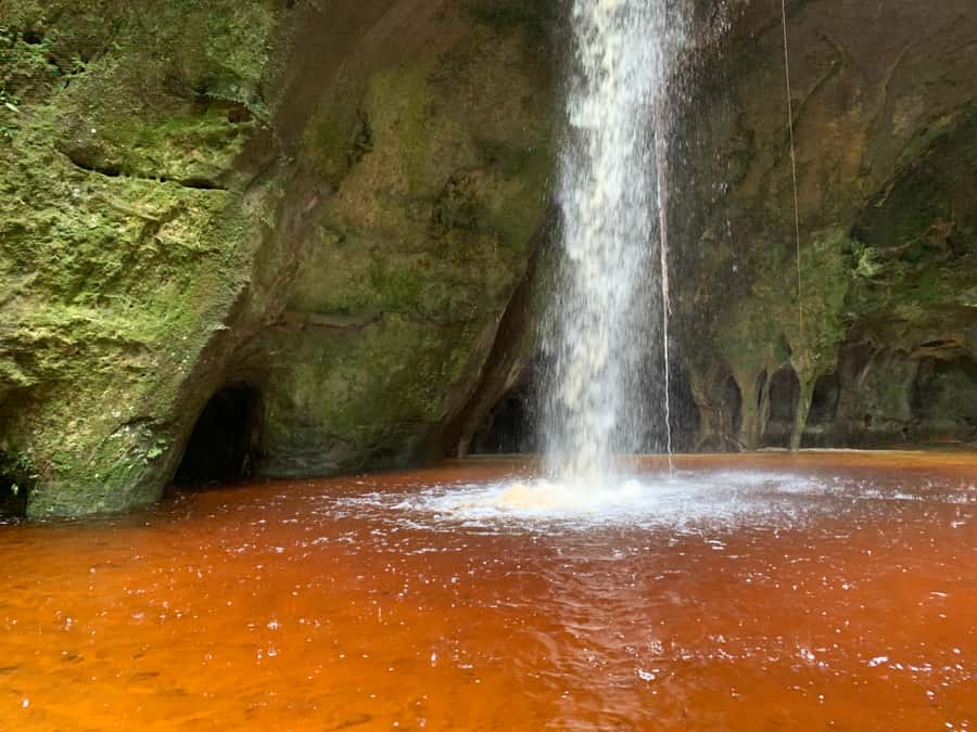 Manaus: Presidente Figueiredo Caves and Waterfalls Tour - Waterfalls provide the day’s easiest pleasure