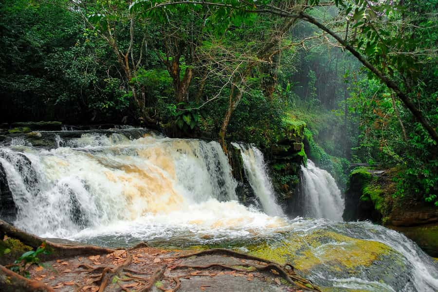 Manaus: Presidente Figueiredo Caves and Waterfalls Tour - The 8:00 AM pickup keeps the day moving
