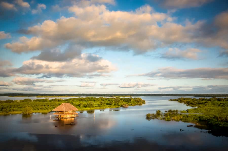 Manaus to Belem 5-Day Local Boat Trip - Hammock or cabin: choose carefully