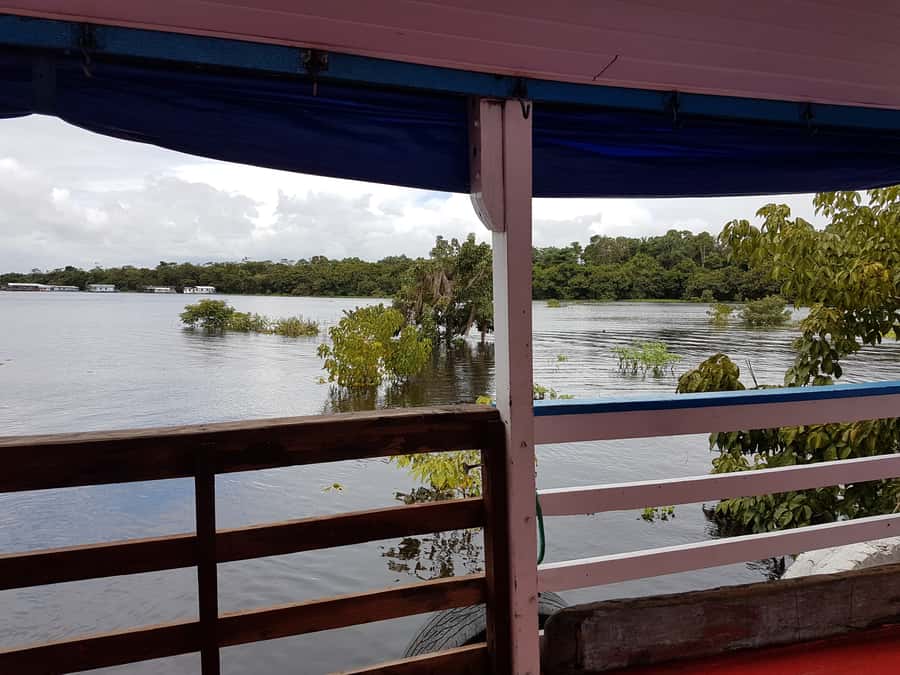 Manaus to Santarém: 36-Hour Ferry on the Amazon - Choosing a hammock or cabin for 36 hours