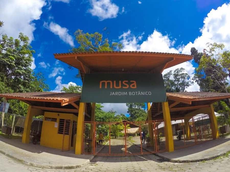 Manaus : Visit to MUSA (Amazon Museum) - What MUSA adds to a Manaus visit