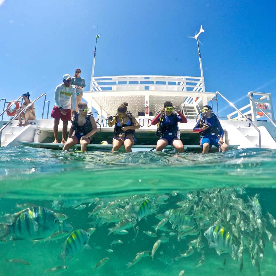 Maracajau Parrachos Reef: Mask and Snorkel swim adventure - Key details at a glance