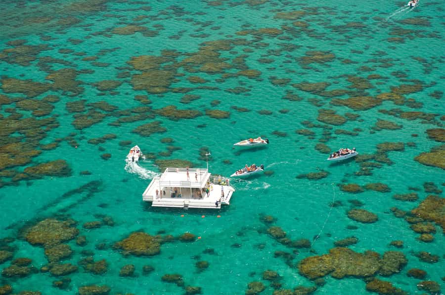 Maracajau Parrachos Reef: Mask and Snorkel swim adventure - Snorkeling beside the floating platforms