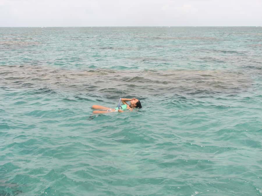 Maracajau Parrachos Reef: Mask and Snorkel swim adventure - How the $203 price works in practice