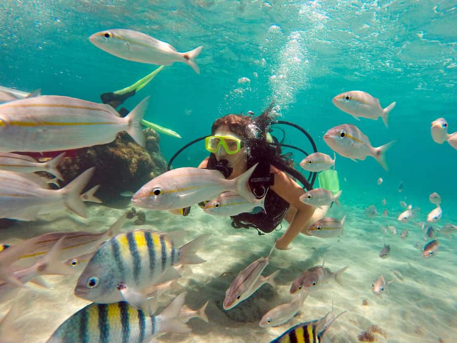 Maracajau Parrachos Reef: Mask and Snorkel swim adventure - Maracajau’s coast and the choice of add-ons