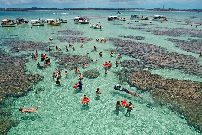 Maragogi / Alagoas Caribbean Brazilian - Getting started from Maceió