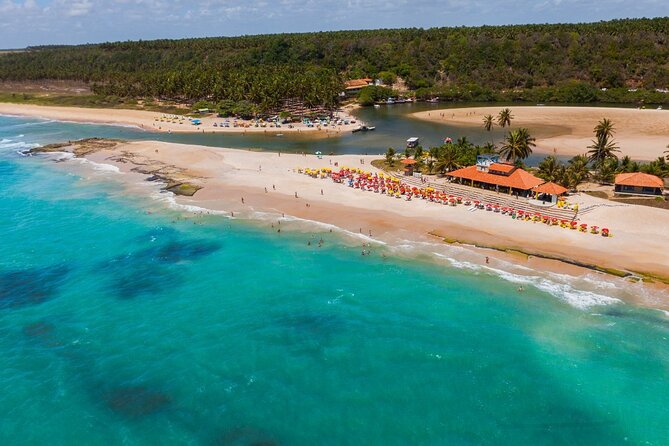 Marapé Dunes Excursion with Luck Receptivo Maceió - The ecological setting between beach and river