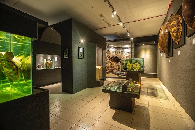Official Ticket: Oceanographic Museum Univali - Piçarras - SC - Key points to know before you go