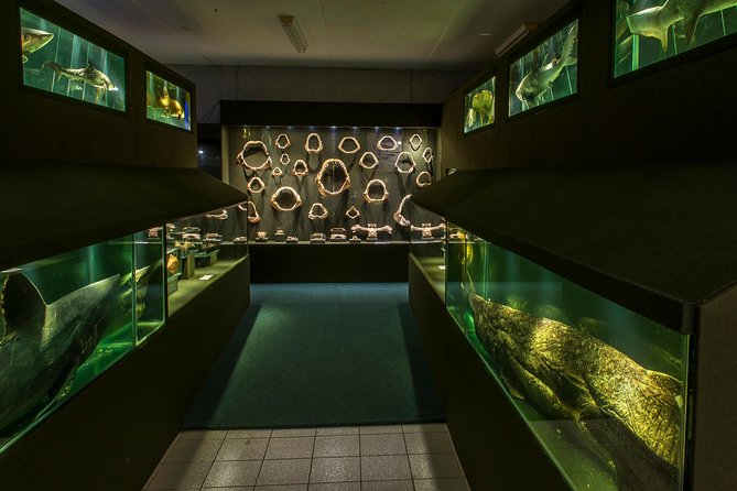 Official Ticket: Oceanographic Museum Univali - Piçarras - SC - Entering through the Blue Wing