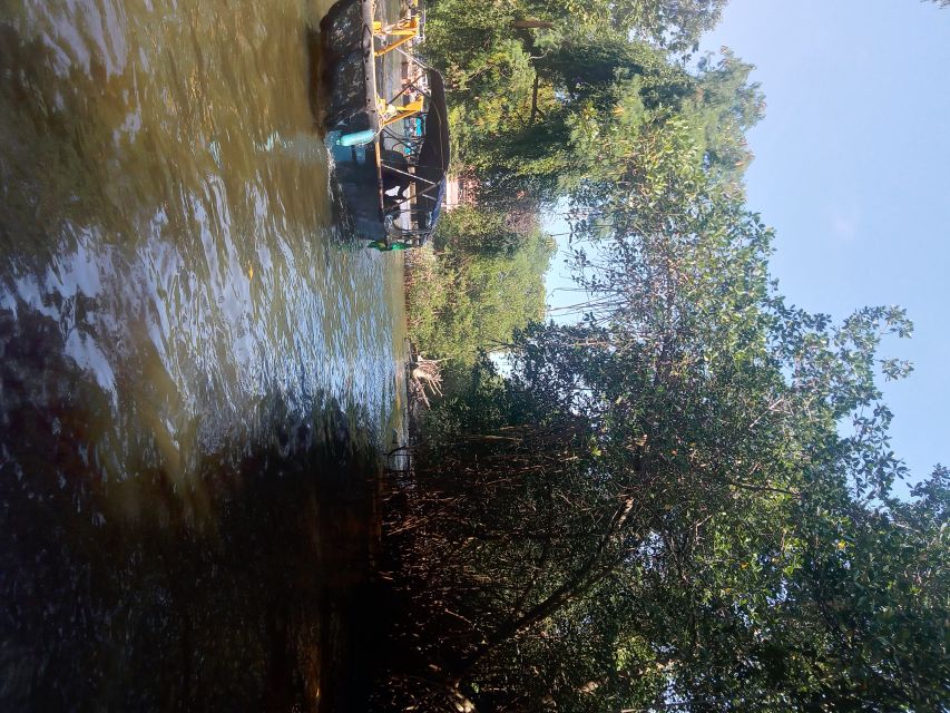 Pantanal of Rio de Janeiro - Gigóia Island: more than a quick photo stop