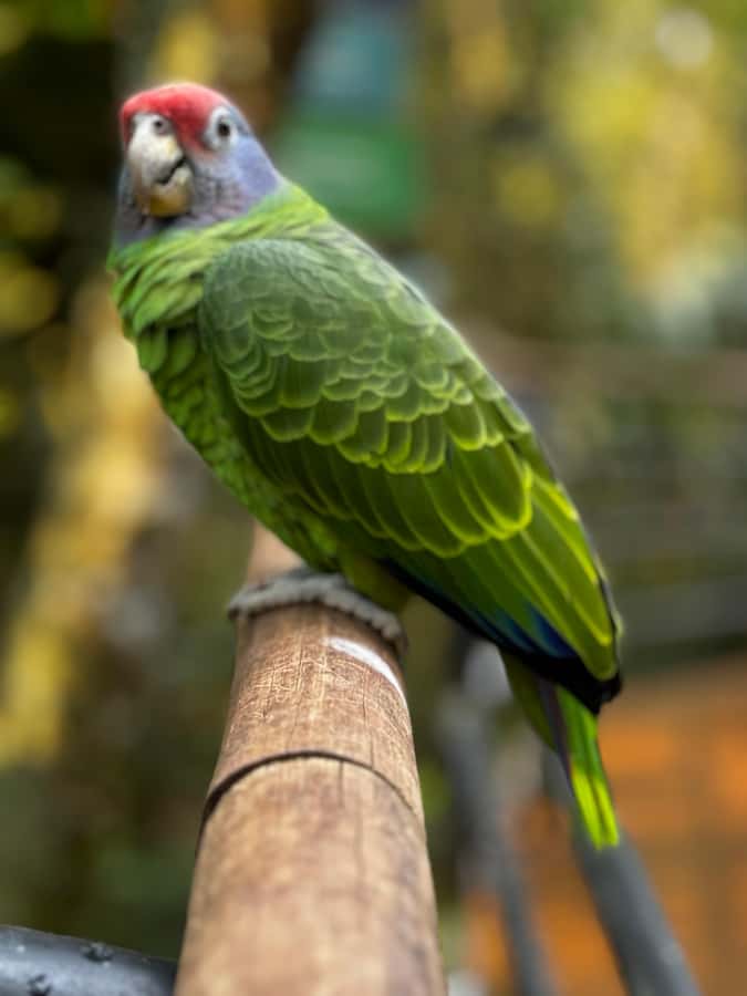 Paraguay + Argentina + Brazil Top Highlights - Private guides are the real working advantage
