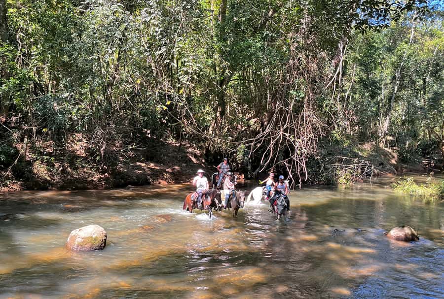Paraty: 3-Hour Rainforest Horseback Ride - What to bring and how to prepare